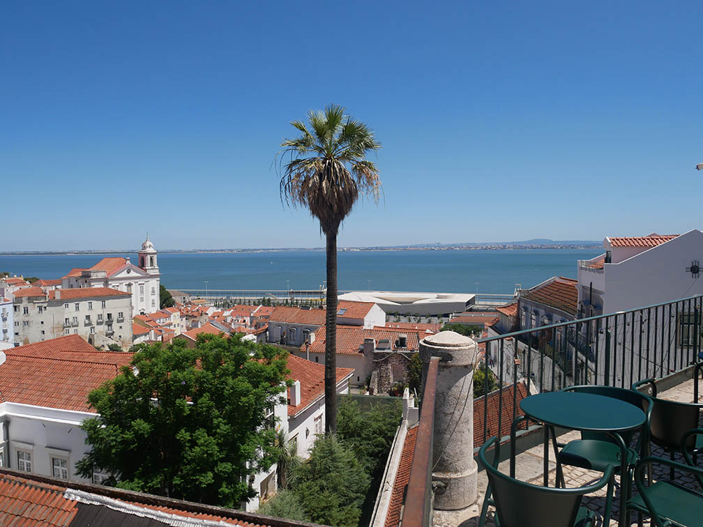 seen on the district of Alfama, the Tagus and a palm tree 