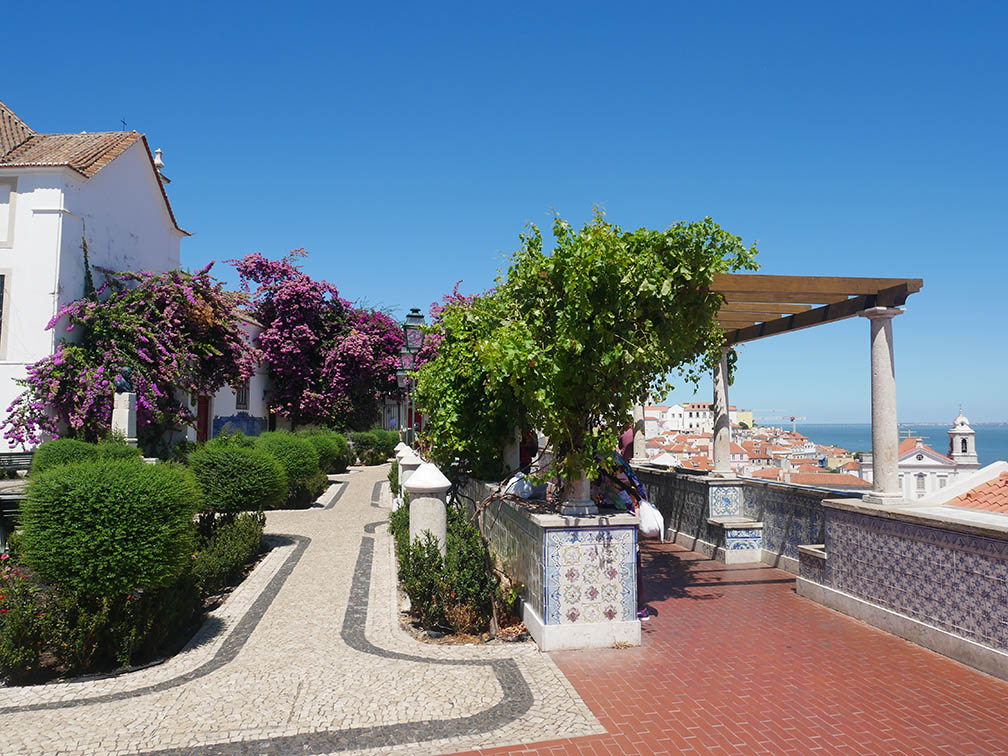 mirador de santa luzia avec colonnade vigne vierge buissons et rosiers muret en azulejos